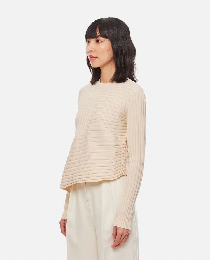 Stella McCartney - ELEATED' COTTON KNITTED JUMPER_2