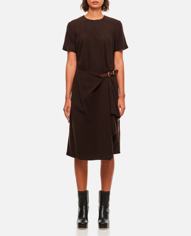 Polo Ralph Lauren Short Sleeve Day Dress In Brown