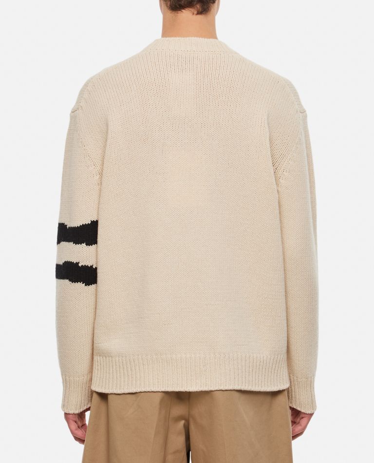 SKULL SWEATER for Men - Alexander McQueen | Biffi