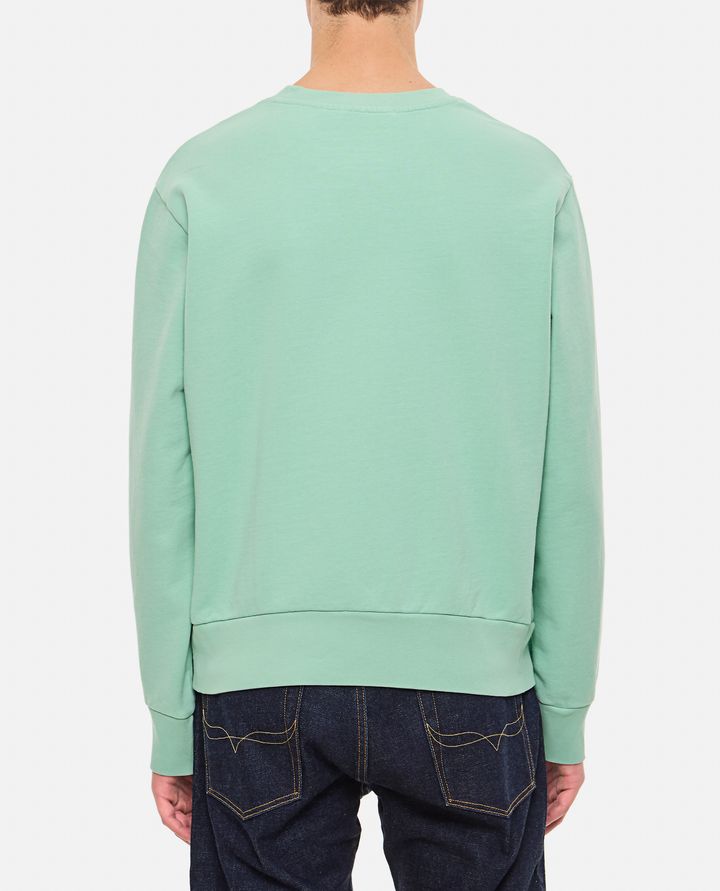 Polo Ralph Lauren - COTTON SWEATSHIRT_3