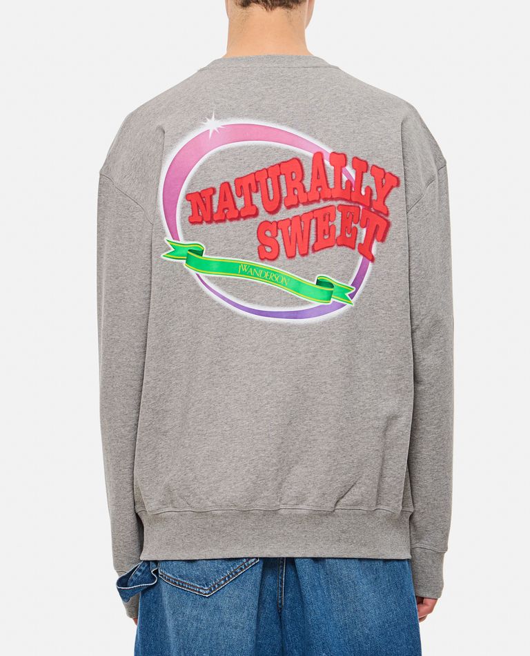 【送料&関税込】J.W. Anderson Sweet Anchor Sweatshirt J.W. Anderson Male Naturally Sweet Anchor Sweatshirt Grey
