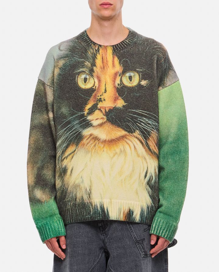 JW Anderson - MAGLIONE STAMPA GATTO_1