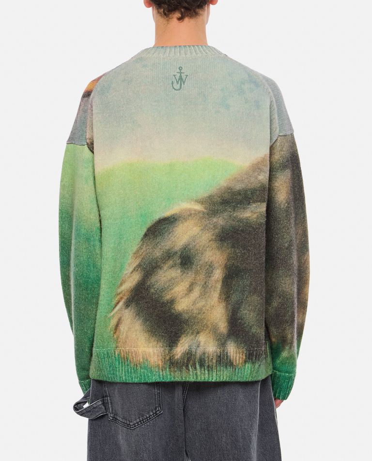 PRINTED JUMPER for Men - JW Anderson sale | Biffi
