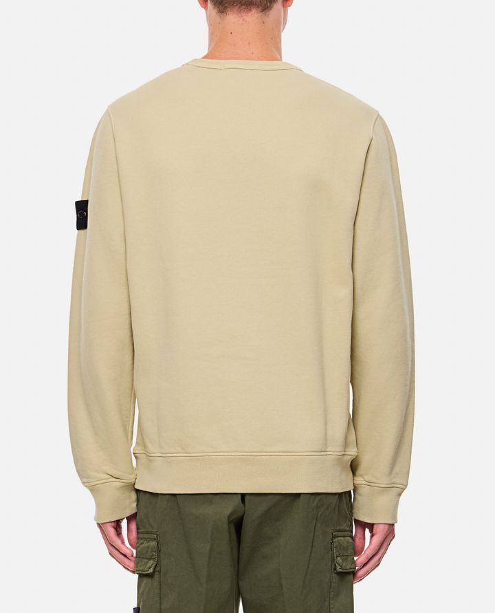 Stone Island - FELPA COTONE ORGANICO BRUSHED_3