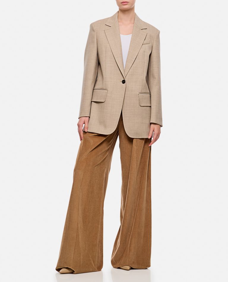 Shop Max Mara Gilly Velvet Wide Leg Pants In Beige