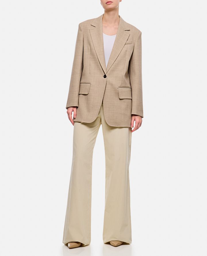 Max Mara - TRITONE VELVET FLARED PANTS_2