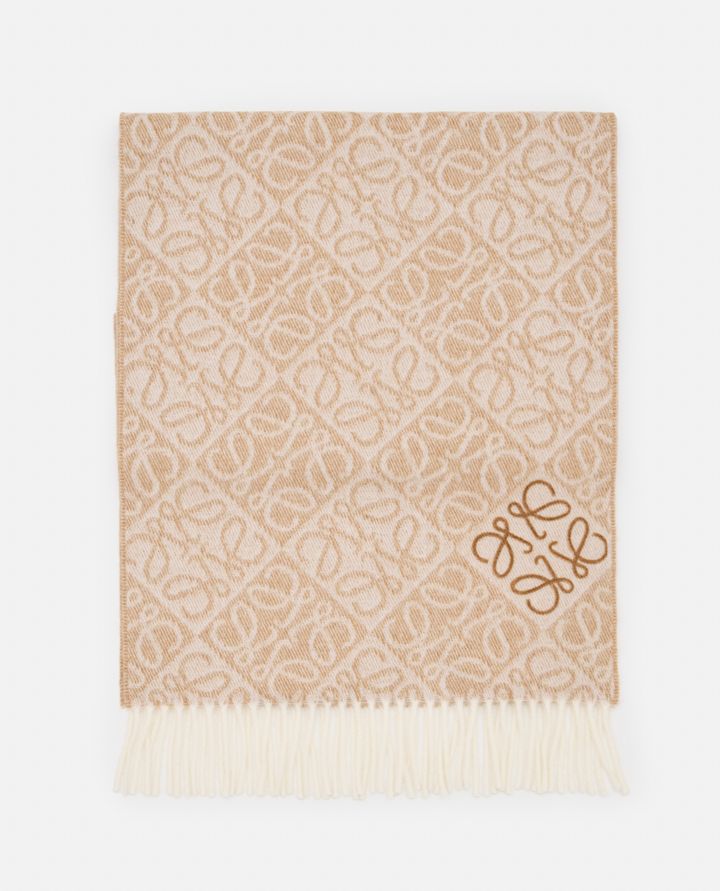 Loewe - LOEWE LOGO SCARF_1