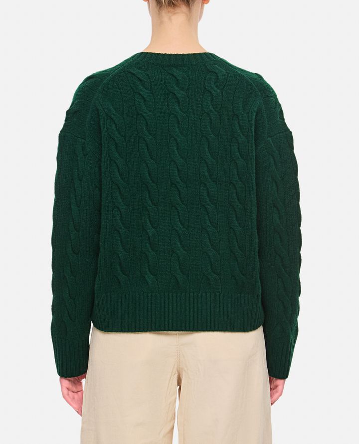 Polo Ralph Lauren - V NECK BOXY FIT PULLOVER_3