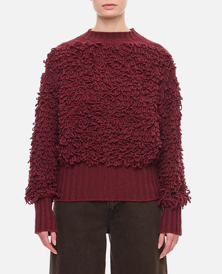 Molly Goddard - SARA WOOL RUFFLE JUMPER_1