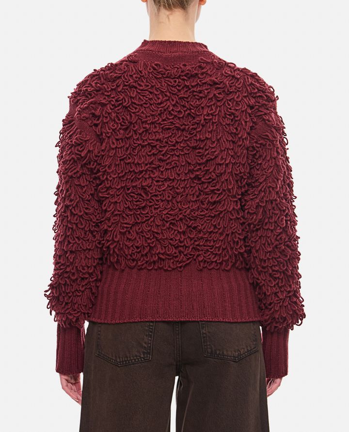 Molly Goddard - SARA WOOL RUFFLE JUMPER_3