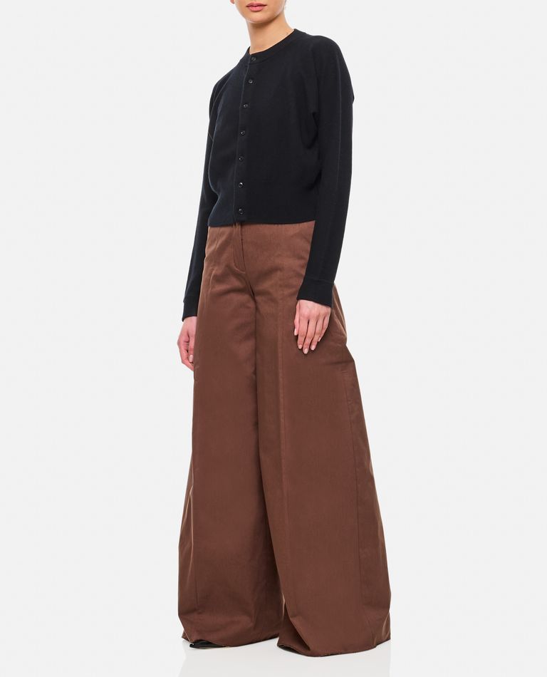 The Latest Pants C-axel In Brown